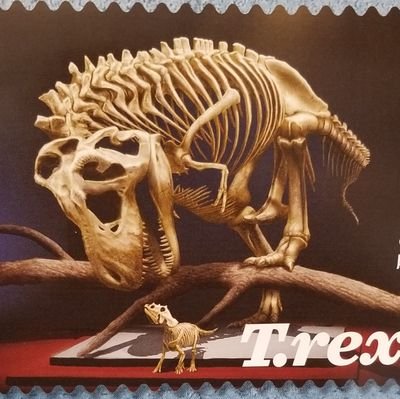 HKroniklez's profile picture. 1st you must visualize the action then actualize the vision. King of the Hill- S9,Ep14