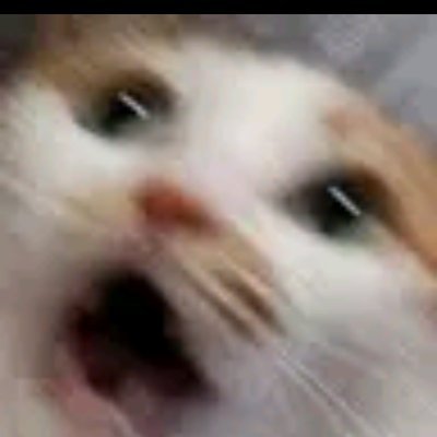 SirJesterAJ1's profile picture. :)