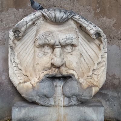 FabioCampanari's profile picture. 