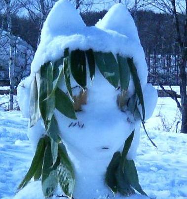 karettua's profile picture. たんたんとリフレクビートのプレイ結果をかいてます。たまにＴＲＰＧの話題もかくます