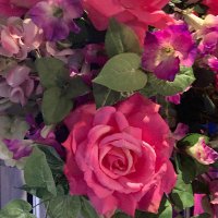 Words_Do_Matter (@wordsdomatter1) 's Twitter Profile Photo Words_Do_Matter (@wordsdomatter1) 's Twitter Profile Photo
