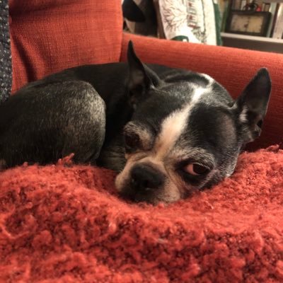 sherrymisener's profile picture. Hi, I'm Sherry. I'm a marketing and events manager who loves bicycling, walking my dogs, and spending time with my new husband!