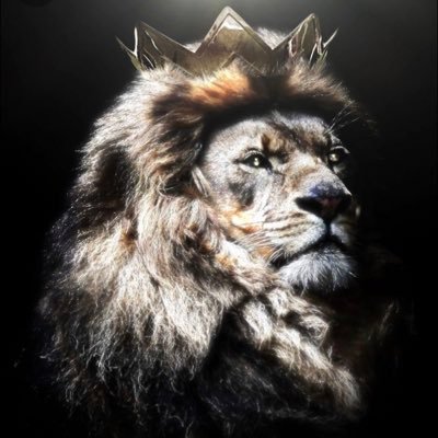 abdelhaleem4's profile picture. 