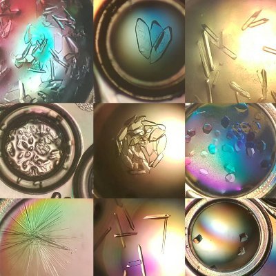 Crystals come in all shapes and sizes, and so do crystallographers! Follow us for news and resources about diversity in crystallography.