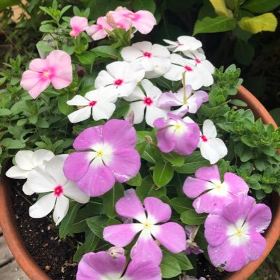 9Ode5D6fsRiy7Yu's profile picture. 以前Twitterして、スマホ変えたら出来なくなり、久しぶりのTwitterです。^_^