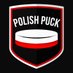 Polish Puck (@PolandHockey) Twitter profile photo
