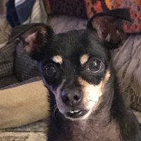 Threeputter (@threeputter4) 's Twitter Profile