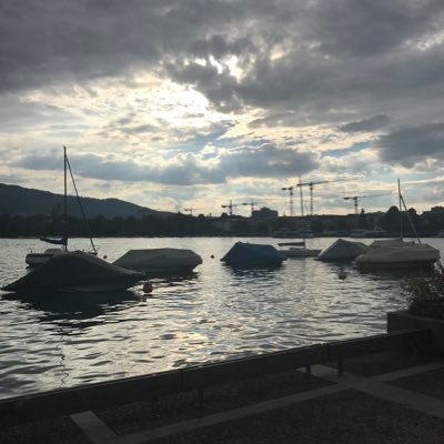 gss082's profile picture. 🛢