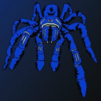 Cobalt Spider Web Design is a small company interested in helping small businesses and artists find their niche on the web.