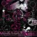 Carol Sylva ! - @sylvacarol - Twitter