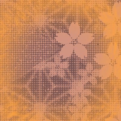 伊波さんのプロフィール画像