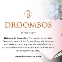 Meghan (@droombos) 's Twitter Profile