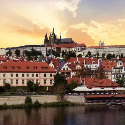 TBraun777's profile picture. 