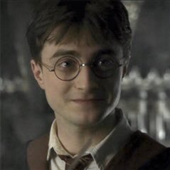 #𝐇𝐀𝐑𝐑𝐘: dumbledore's man through and through (she/her)