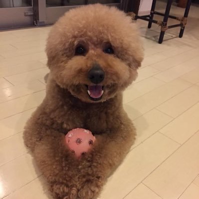 NORI19891113's profile picture. 生損保保険営業/代理店経営/マーケッター/公的支出診断士/MDRT/AFP/保募ツイ連/元万年スタンド高校球児/フルコミッションの保険営業の世界に飛び込み33年、よくやってきたなぁ。 保険は素晴らしい制度で大好きだけど、業界はダメだな😆　外資系生保営業8年、マネージャー7年、そして、代理店設立19年。