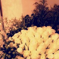 khloodโจ (@khlodmashhor) 's Twitter Profile Photo khloodโจ (@khlodmashhor) 's Twitter Profile Photo