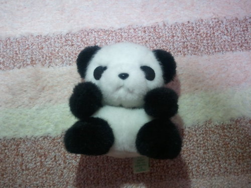 treevillage_jas's profile picture. 江田島/広島国泰寺/九州大学芸術工学部環境設計学科/九州大学大学院芸術工学府DS専攻