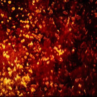 nagichan0626's profile picture. 20↑