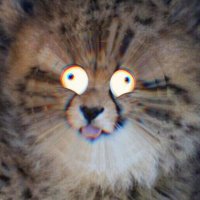 comme chee, comme ça (@areitu) 's Twitter Profile