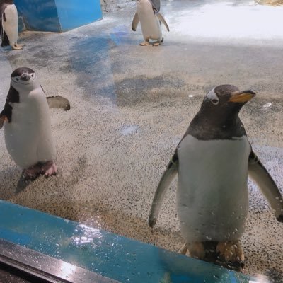 もりたまさかず Mmasakz Twitter