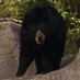 Dakota Williams (@dakotawillknow) Twitter profile photo Dakota Williams (@dakotawillknow) Twitter profile photo