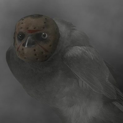 thejasoncrow's profile picture. Hailing from a small town in Nova Scotia. Likes: Traveling, eating, and playing video games