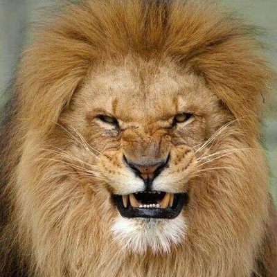 frbob69433838's profile picture. ‏برای آزادی مردم‌ کشورم؟؟
جز مبارزه میدانی راهی دیگری ندارم...