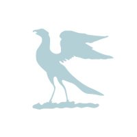 The Blue Bird (@thecambluebird) 's Twitter Profile Photo