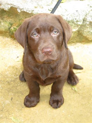 karlijnvo's profile picture. 