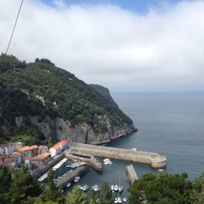 Wasychu's profile picture. Basque. No Indio. Aquel que toma el mejor trozo de carne para si mismo. https://t.co/xZyZ9DJ7I4