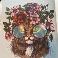 Enchanted Healing (@enchantedhealin) 's Twitter Profile