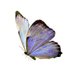 shatha (@shathasultan7) Twitter profile photo shatha (@shathasultan7) Twitter profile photo
