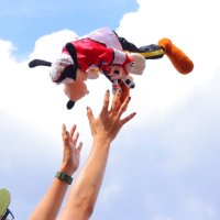 もりぞ (@aoi6612) 's Twitter Profile