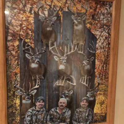 mstillzy's profile picture. 