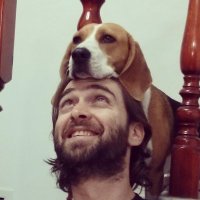 Roy Harpaz (@royharpaz) 's Twitter Profile