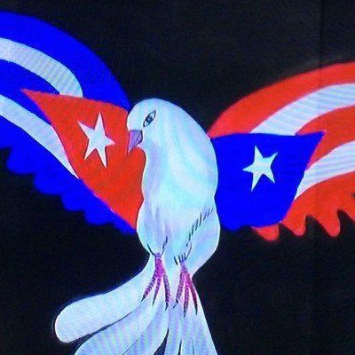 Boricua 💯 Esp. en Computación Y Telecomunicaciones en la UPR... Patriota, amante del fútbol, ferviente defensor de la revolución Cubana 🇨🇺 #YoSoyFidel