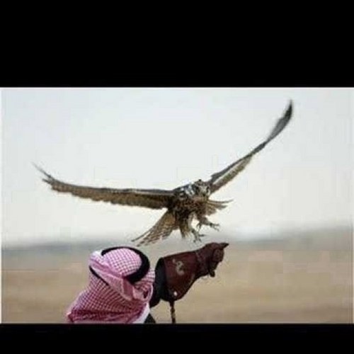 upq8's profile picture. 