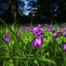 BenthallNT (@benthallhallnt) Twitter profile photo BenthallNT (@benthallhallnt) Twitter profile photo