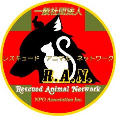譲渡不適正とされ殺処分されてしまう、噛む、威嚇、破壊行為、病気、高齢などの犬猫を主に保護して、矯正訓練を施し新しい飼い主を探す活動をしています。 また、矯正したセラピードッグ並みに温和な子でセラピー活動や子供とのふれあい体験のボランティア活動や、他人の放置うんちを拾ううんち拾い隊運動をしています。
