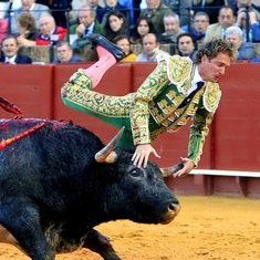 @BullfightCap