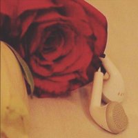 H (@al3lii_h) 's Twitter Profile