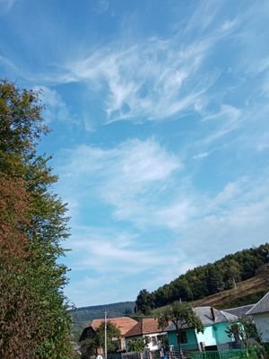 Vlad51105727's profile picture. 