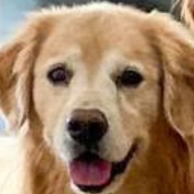 Hello! This account is for close up pictures of Venkman of the @TheGoldenRatio4