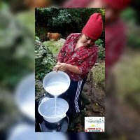 Cooperativas Agropecuarias De El Salvador (@coopagroes) 's Twitter Profile