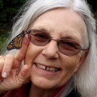 Elaine Mansfield (@elainemansfiel7) 's Twitter Profile Photo Elaine Mansfield (@elainemansfiel7) 's Twitter Profile Photo