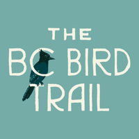 The BC Bird Trail(@bcbirdtrail) 's Twitter Profileg