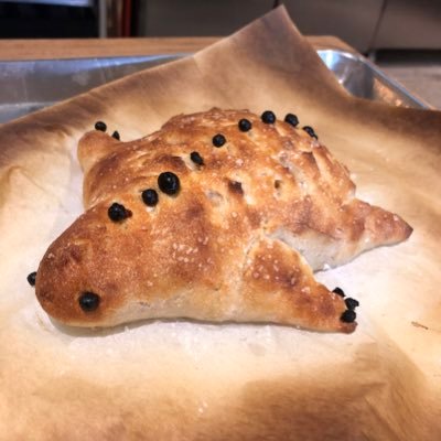 SparrowWildflo1's profile picture. 21 y/o menace to the world