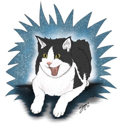 4 year old tuxie chaos goblin, profile pic by @sarawynart, I hate cops, terfs, racists, value black lives & queer friends