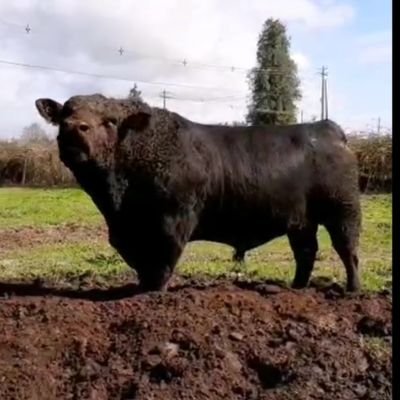 Agrónomo  y defensor de nuestra agricultura
Los límites de nuestro desarrollo los fija uno mismo, por eso nunca hay que dejar de soñar