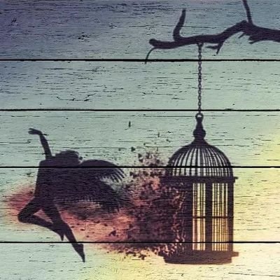 zemlju's profile picture. 